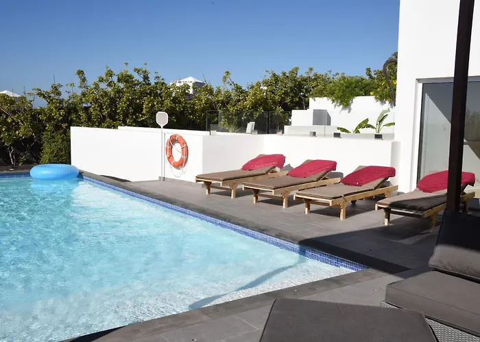 Ereza Royal Deluxe Hoopoe-10 *